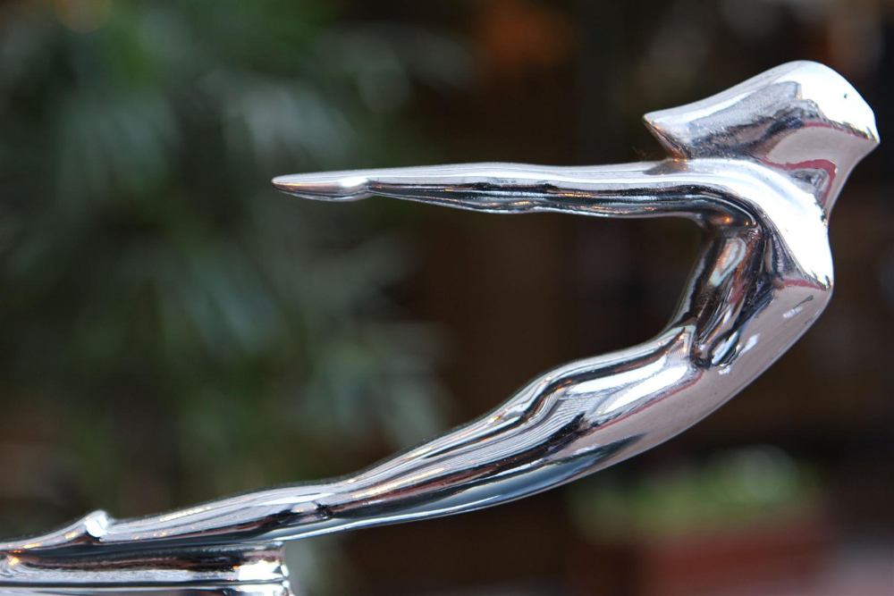 the polo and POLO Magazine Cartier Trav 28