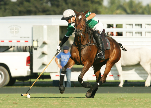 Photos-Villa Del Lago vs Tonkawa