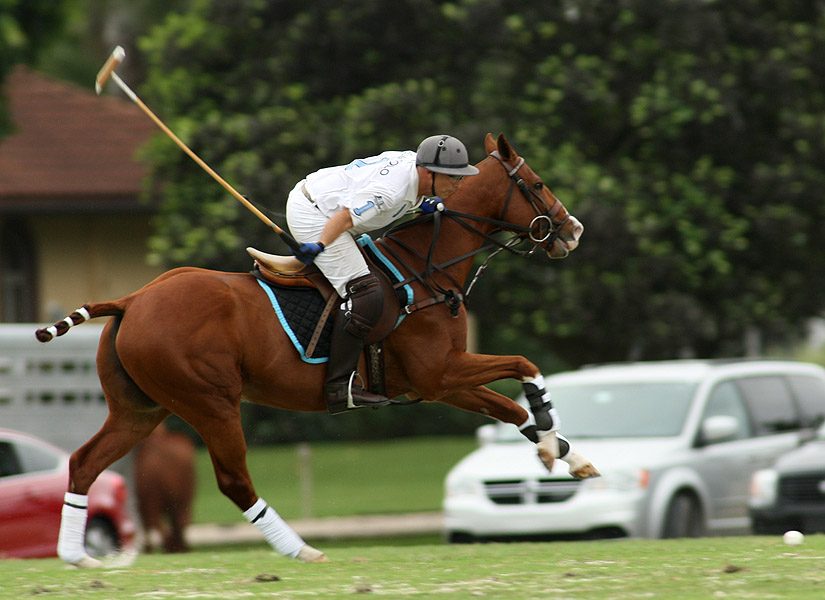 Beluga Cup polotournamentpolomagazinepachecophotos 7