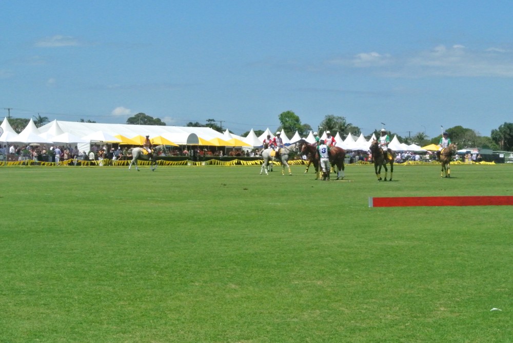 DSC 7941