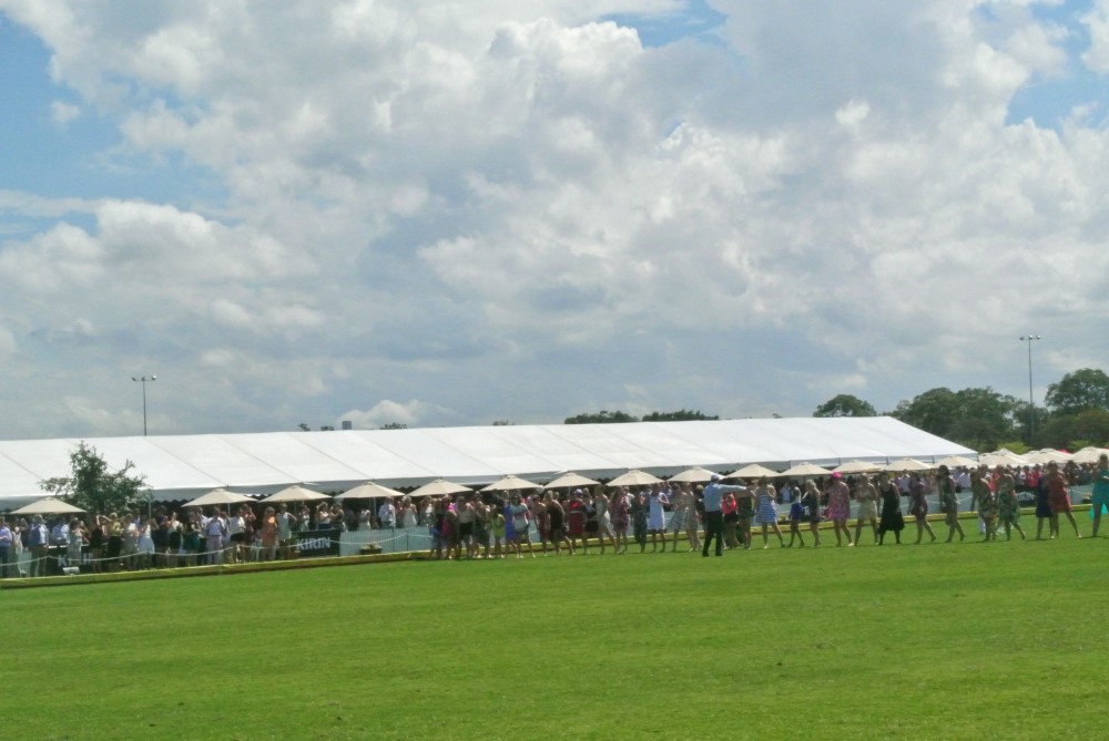 DSC 8037