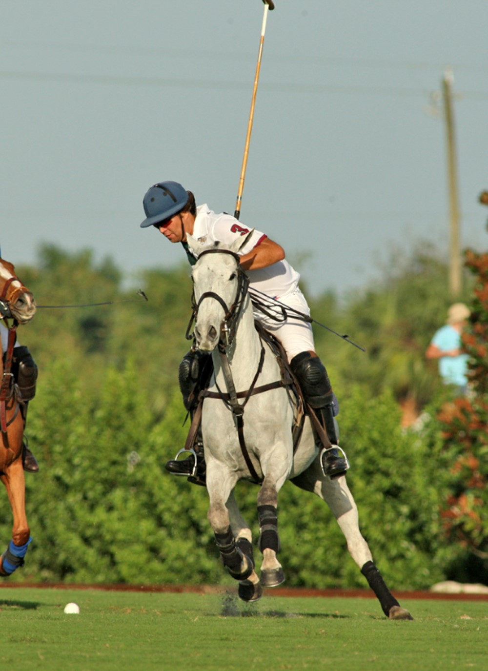 grandchampionspoloclubpolomagazinepbppolocuppolotournamentpacheco 2