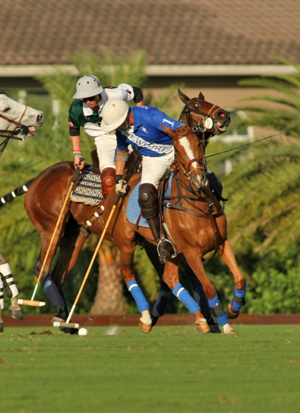 grandchampionspoloclubpolomagazinepbppolocuppolotournamentpacheco 3