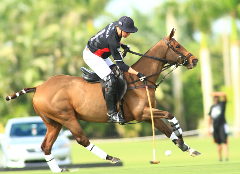 coverage-of-the-20-goal-ipc-season-opener 6 polomagazine.jpg