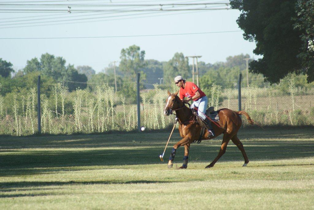 Stick  balling young horses in El Solar