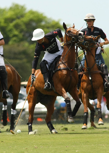 Photos-AUDI vs. Zorzal