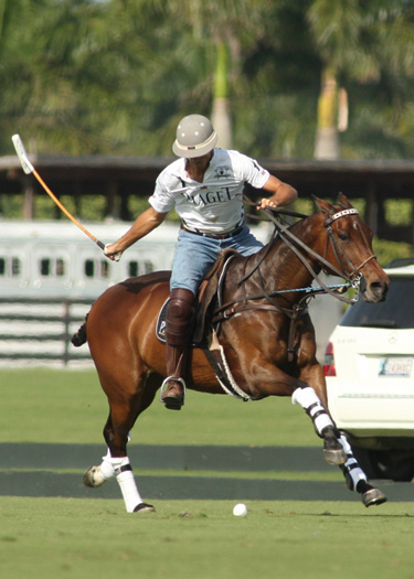 alexpacheco polomag 1