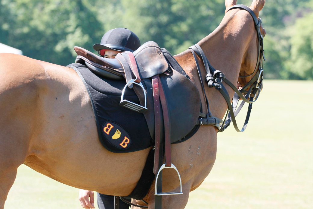 black bears polo team queens cup polo tournament polo magazine polo photos celine genonceau 2013 3