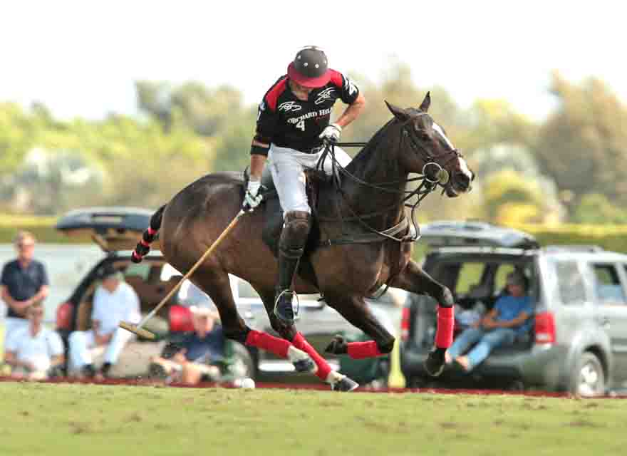 cvwhitneyquarterfinalpolomagazinePacheco 6