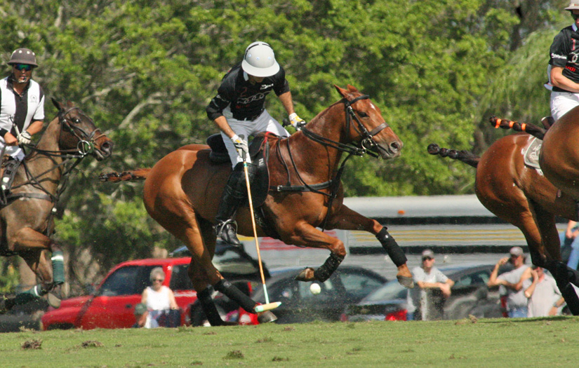 polomagazineLas Monjitas vs. Audi 7
